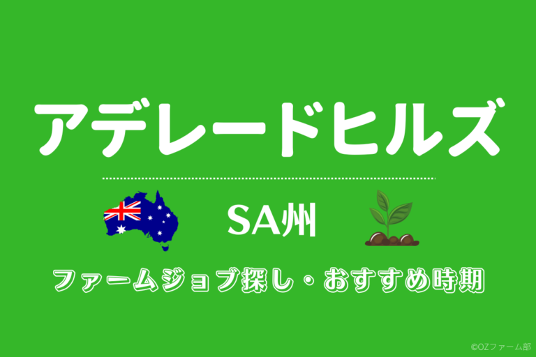 【アデレードヒルズ】ファームジョブおすすめ時期･求人情報の探し方《SA州》 OZファーム部